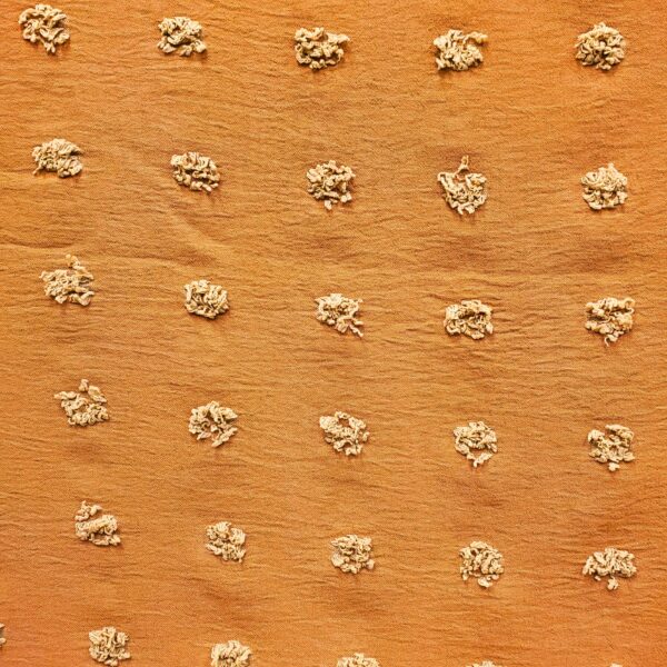 Swiss Dot -Large Dot - Image 3