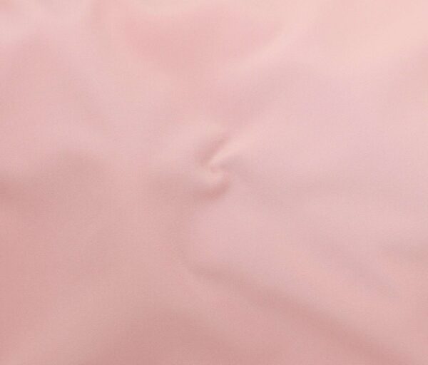 Parker - Image 17